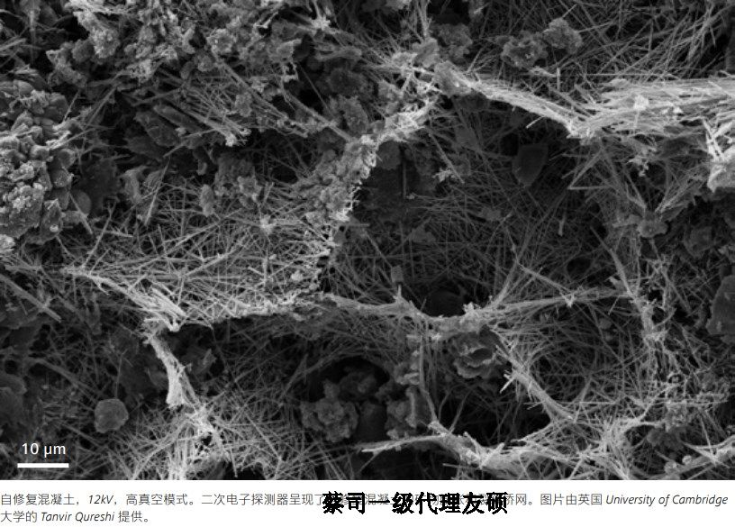 璧山璧山蔡司璧山扫描电镜